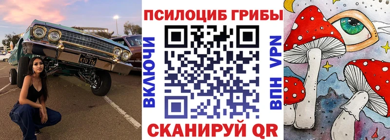 Псилоцибиновые грибы GOLDEN TEACHER Сухиничи