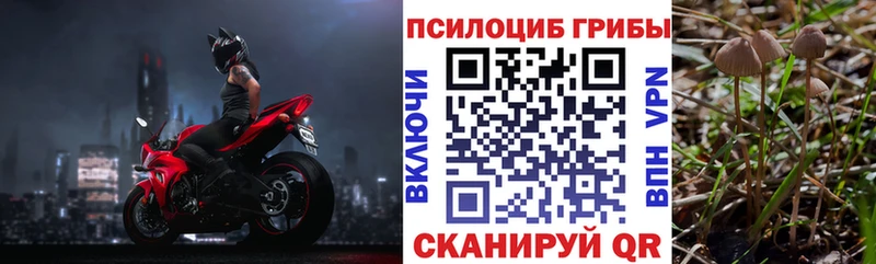 где купить наркоту  Сухиничи  Галлюциногенные грибы Magic Shrooms 